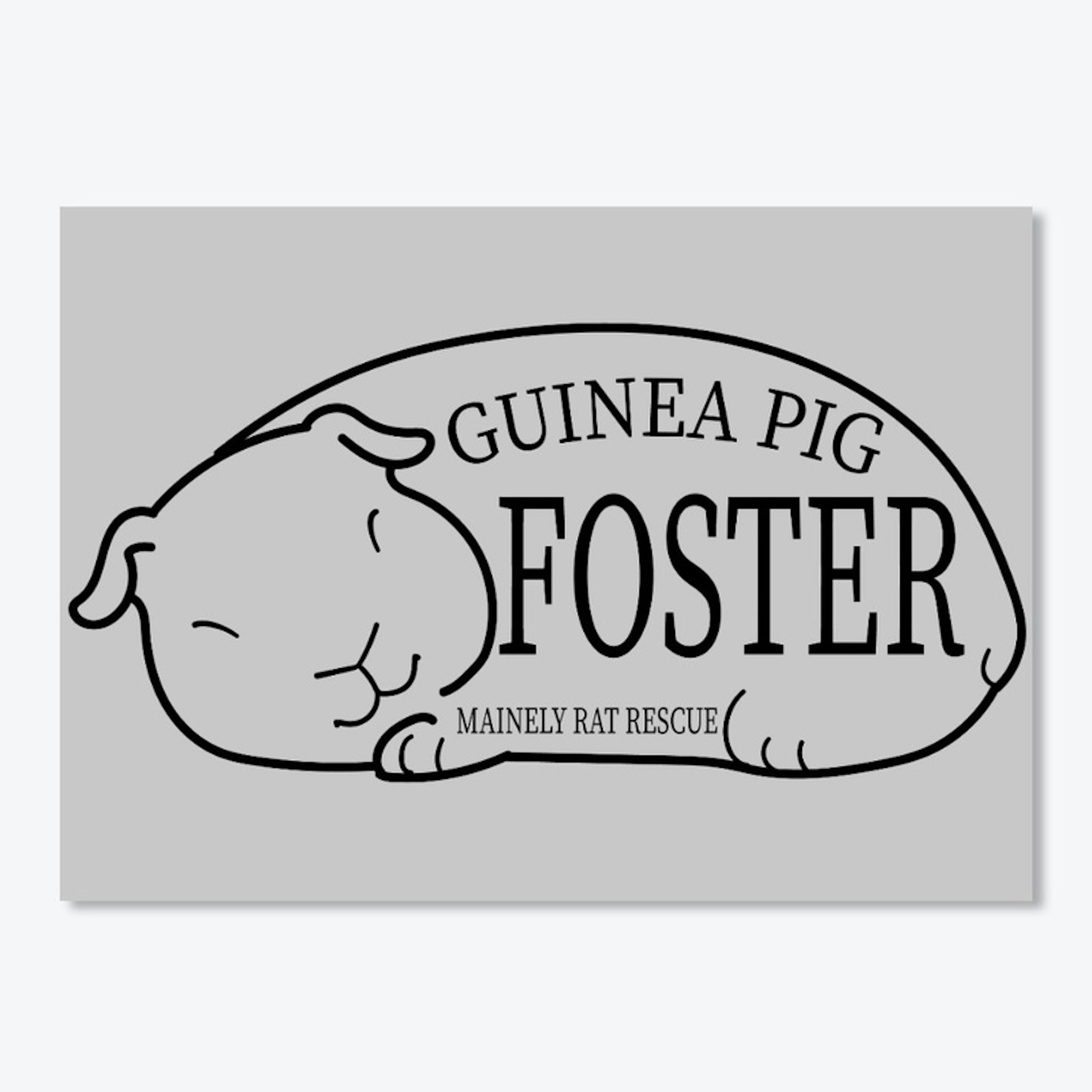 Guinea Pig Foster
